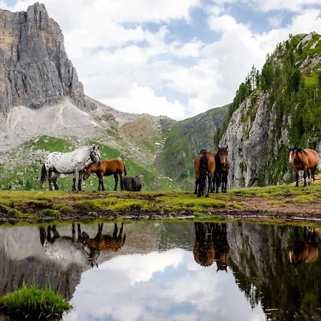 Esperienza Unica Al Passo Giau - Con Vista Panoramica